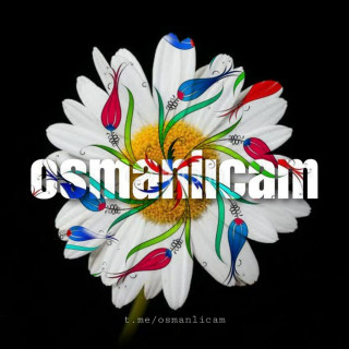 Osmanlıcamız