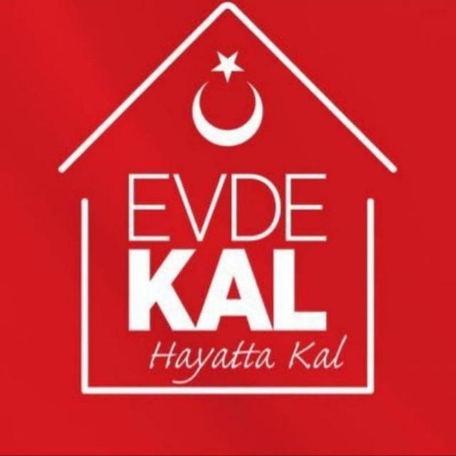 Fi̇lm Ve Di̇zi̇ Paylaşim