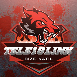 Tele10link