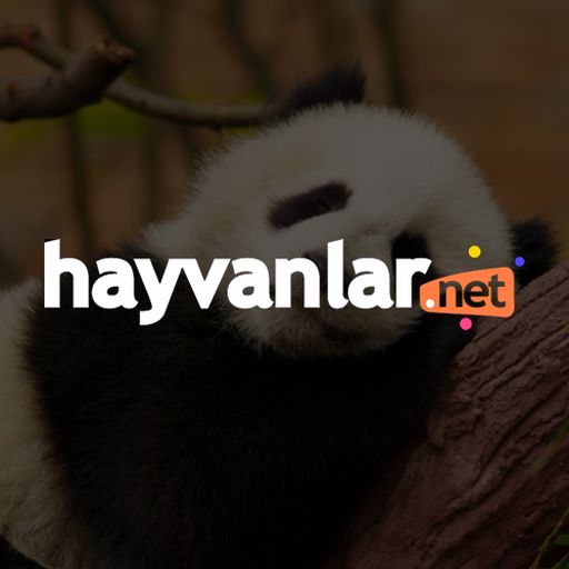 Hayvanlarnet