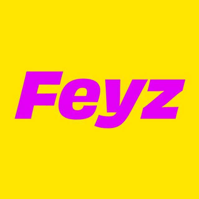 Feyz