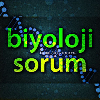 Biyoloji Soru çözüm Tüm Sınavlar