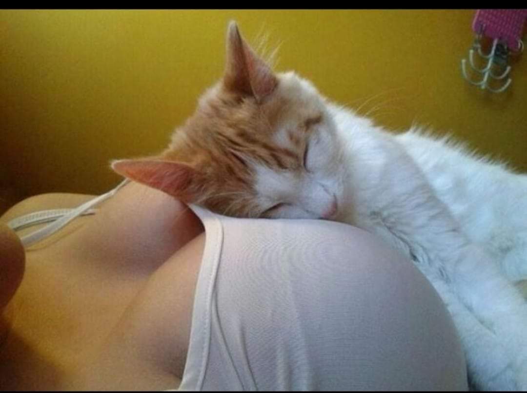 Ebru'nun Kıraathanesi