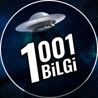 Bi̇nbi̇rbi̇lgi̇