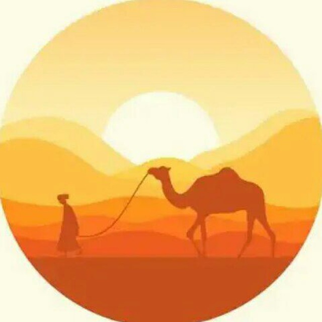 Li̇nksi̇z Türk İfşa [mirage]