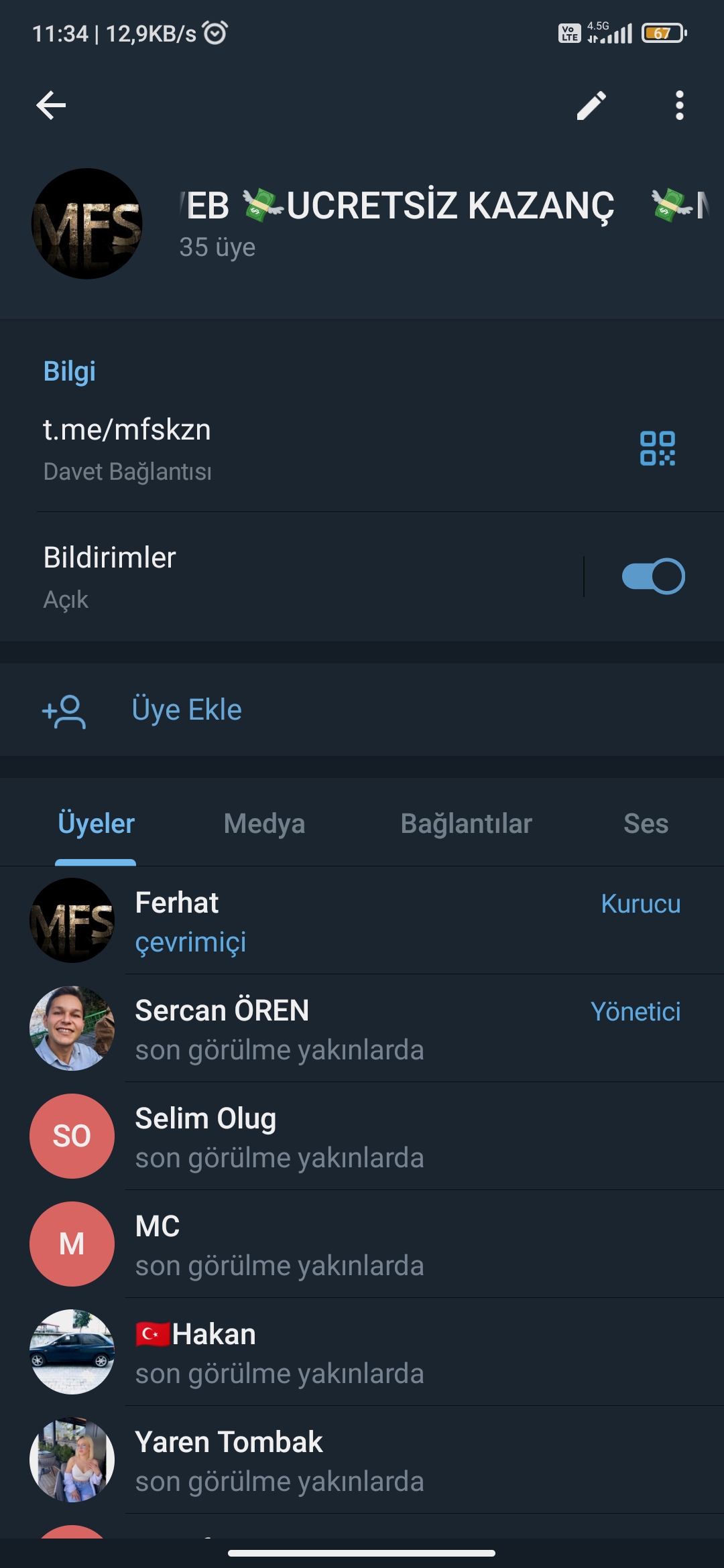 Mfs Web Kazanc Grubu