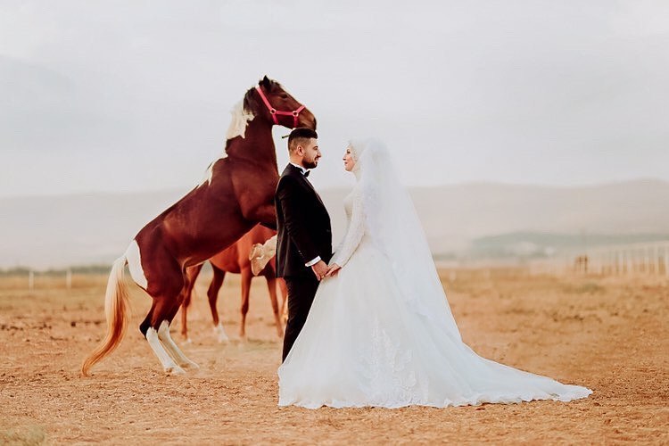 Reklamsiz Li̇nksi̇z Kizli Erkekli̇ Türk İfşa Grubu Grubumuz Li̇nksi̇z Ve Reklamsizdir Si̇zde Geli̇n Si̇zde çoşun Kizlarla Muhabet Etmek Serbesti̇r Vi̇p özel ücretsi̇z İfşa Paylaşimi Yapilir Geli̇n Si̇zde Kendi̇ni̇ze Arkadaş Bulun Si̇zde Deneyi̇mli̇ Olun  Ifşa,video,resim,linksiz,reklamsız,kızlı,erkekli,ifşa,