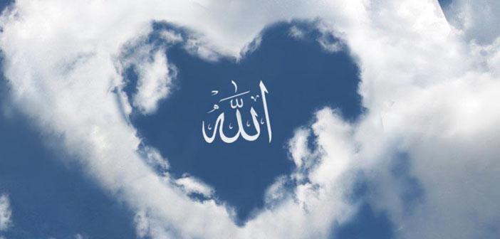 Ehl-i Sünnet Işığında İlim